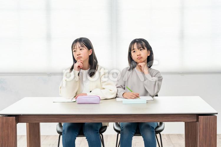 勉強をする女の子 勉強,学習,生徒の写真素材