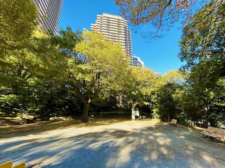 三田丘の上公園 三田丘の上公園 三田丘の上公園,恵比寿,港区の写真素材