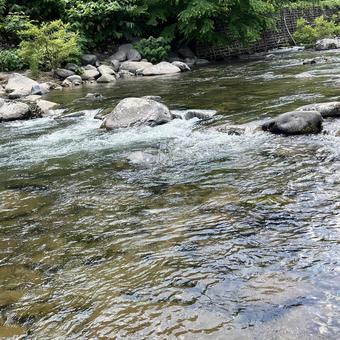 夏を涼しく!(清流)(川)No.3 夏を涼しく!(清流)(川)No.3 夏,水,川の写真素材