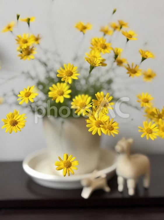 黄色い可愛い花と置物 可憐,キク科,かわいいの写真素材