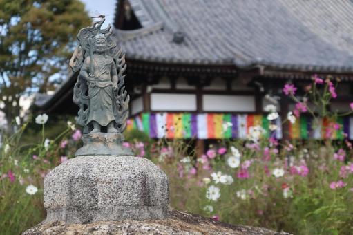 秋の般若寺 10月,秋,奈良の写真素材