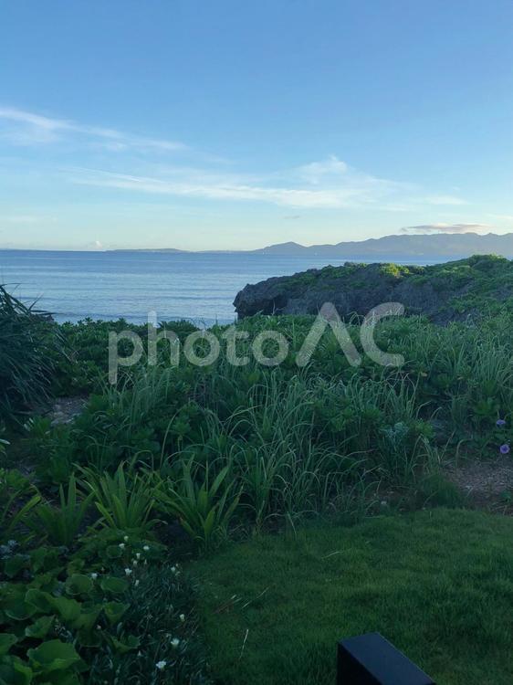 沖縄の海と緑 風景,自然,海の写真素材