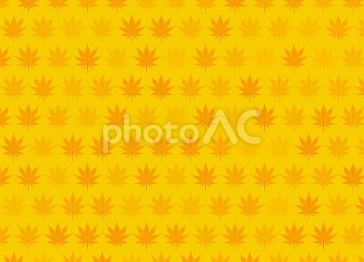 黄色とオレンジ色の和紙と紅葉の背景 背景,秋,黄色の写真素材