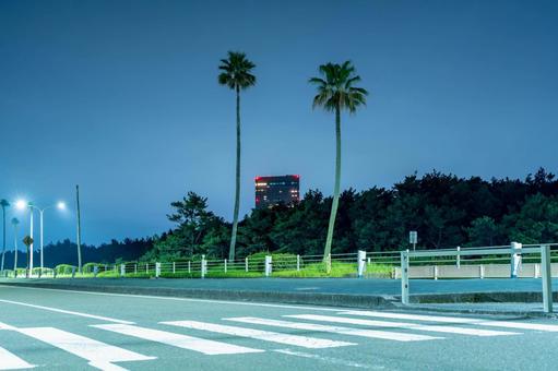 深夜の一ッ葉有料道路（下り）パーキング 道路,交通,道の写真素材