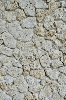 Coral stone wall, JPG