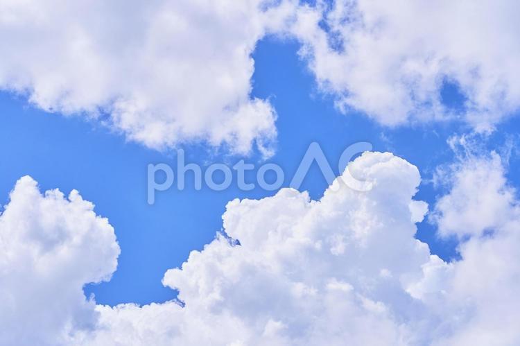 夏を感じる真っ白な積雲と青い空のアップ 空,青空,雲の写真素材