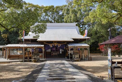 秋の諫早神社 諫早神社,四面宮,神社の写真素材