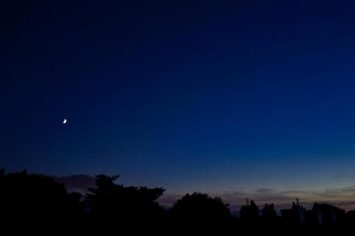 夕暮れの月 2025/7/30 夕暮れの月 2025/7/30の写真