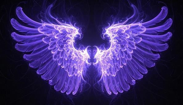 幻想的に広がる紫の羽根 幻想的に広がる紫の羽根の写真