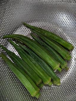 茹でたオクラ 山菜,オクラ,野菜の写真素材