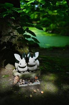 神社の境内 神社の境内,日陰,ウサギの写真素材