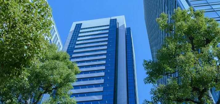 オフィスビル 緑の木 オフィスビル 緑の木 ビル,ビジネス,仕事の写真素材