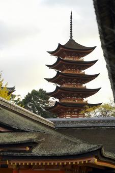 厳島神社から五重塔 厳島神社から五重塔の写真