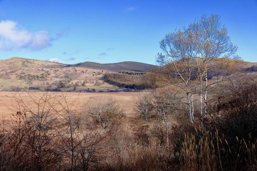 秋の八島湿原 高原,草原,湿原の写真素材