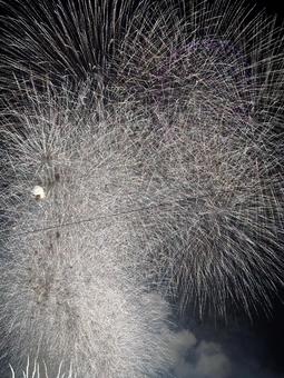花火 花火の写真