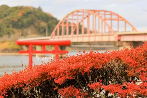 高滝駅 高滝湖,小湊鐵道,高滝駅の写真素材