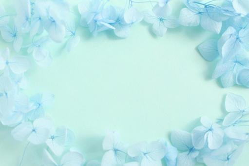 青い花の背景の写真