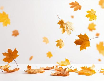 舞い落ちる秋色に染まった葉　落ち葉5の写真