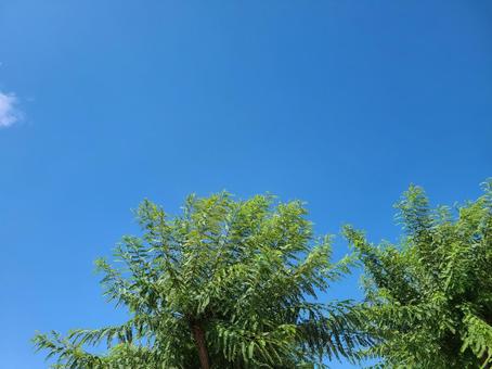 スペインの夏空 スペインの夏空の写真