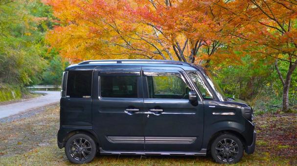紅葉と黒い軽自動車⓵ 紅葉,もみじ,軽自動車の写真素材