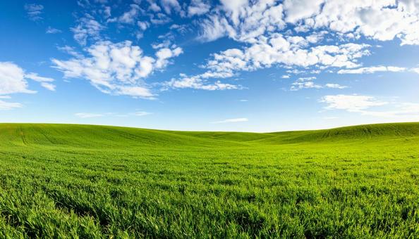 青空の下に広がる緑の草原 青空の下に広がる緑の草原の写真