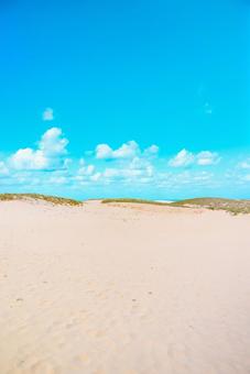 【鳥取】青空と鳥取砂丘の写真
