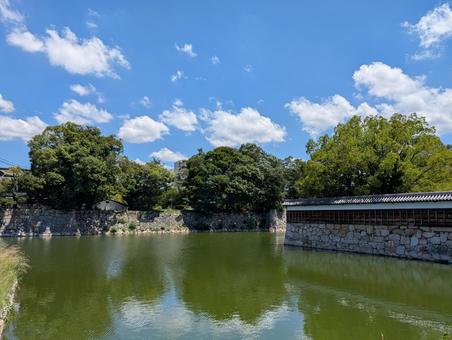 広島城 広島城 広島城,夏の空,木の写真素材