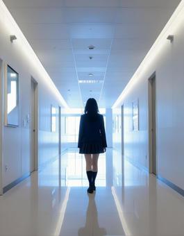 高校 校内 廊下 女子高生の写真