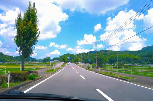 街路樹と直線道路 街路樹と直線道路 車窓,車,木の写真素材