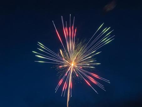 花びらのように鮮やかな花火 花びらのように鮮やかな花火の写真