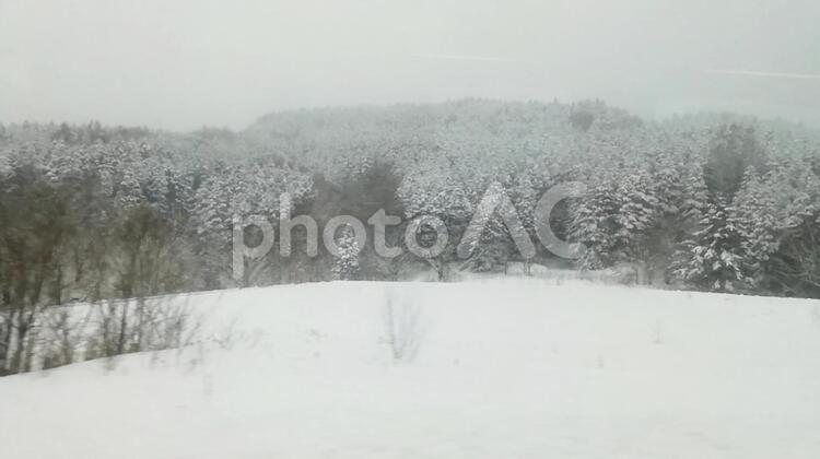 冬の北海道 北海道,冬景色,雪の写真素材
