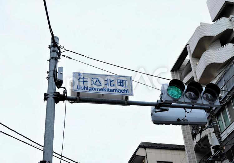 牛込北町の信号と地名 牛込北町,地名,表示盤の写真素材