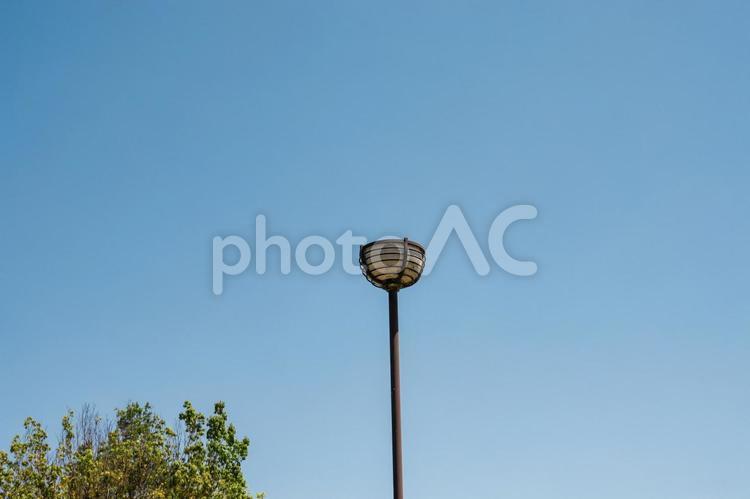 夏の青空と街灯 青空,街灯,太陽光の写真素材