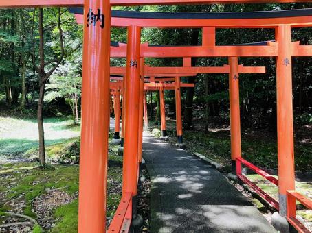 Photo, kashihara shrine, kashihara city, nara prefecture, a shrine, 