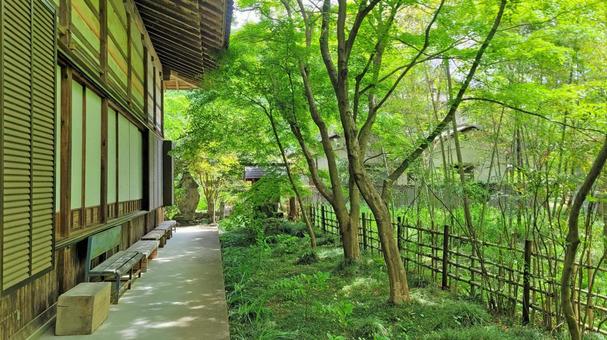 秩父34観音 33番 菊水寺 境内の風景 秩父34観音 33番 菊水寺 境内の風景 菊水寺,延命山,新緑の写真素材