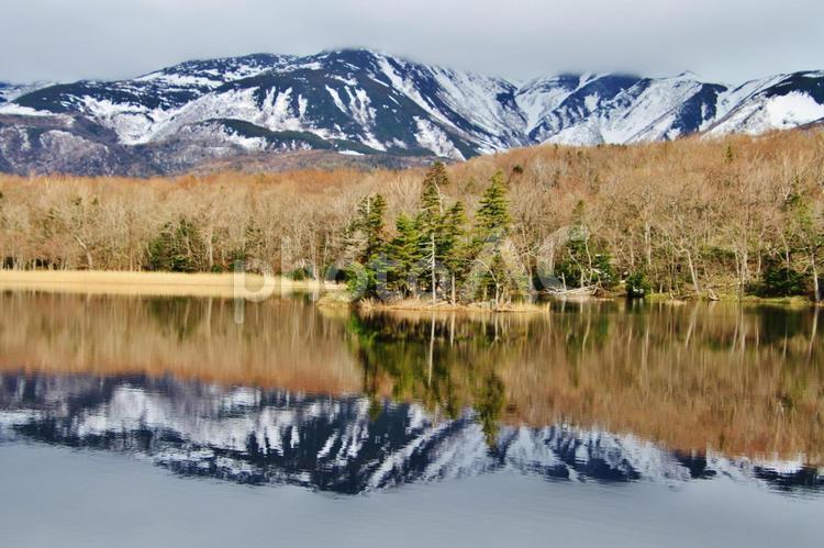 知床五湖の一湖と知床連山（北海道） 知床,知床五湖,一湖の写真素材