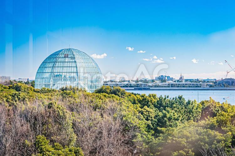 東京　葛西臨海公園の風景 港,都会,大都会の写真素材
