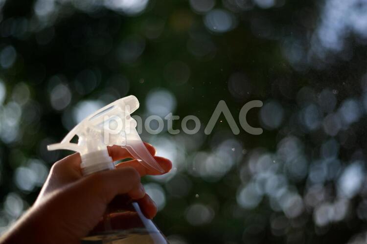 霧吹き 霧吹き,スプレー,霧の写真素材