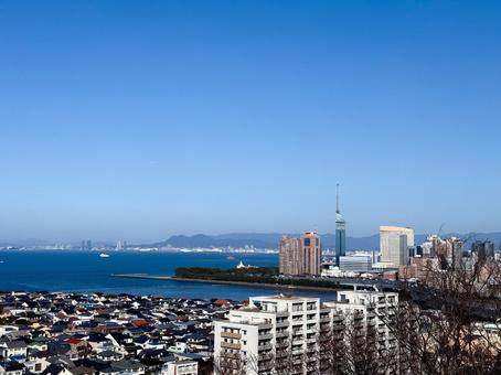 愛宕神社から見た福岡タワー 福岡タワー,福岡市,観光スポットの写真素材