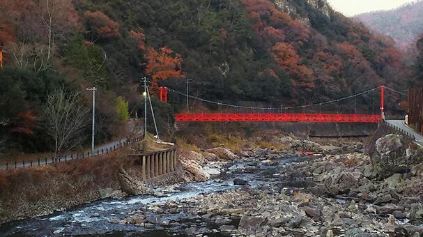 山の橋 山の橋の写真