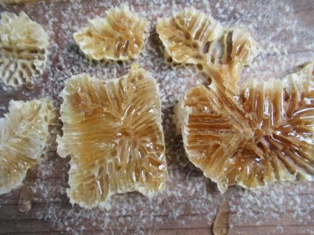 食べ物 食べ物の写真