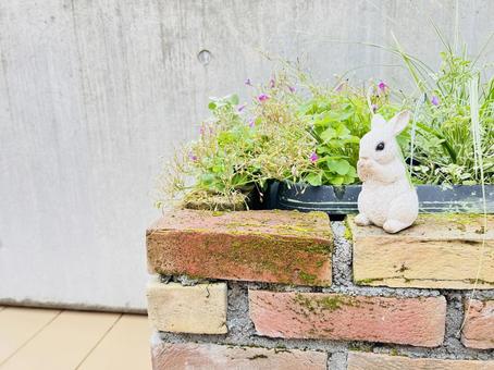 レンガ花壇とうさぎ置物の庭 レンガ花壇とうさぎ置物の庭 レンガ,煉瓦,花壇の写真素材