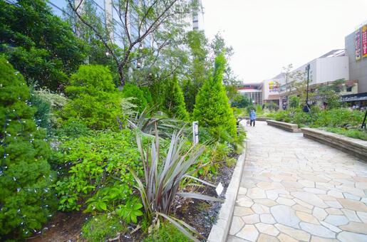 深川ギャザリアの写真