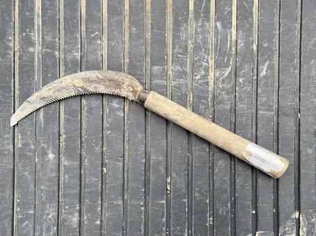 鎌 鎌,道具,作業の写真素材