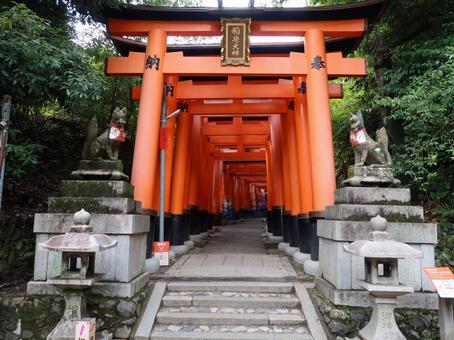 京都 伏見稲荷大社 千本鳥居 京都 伏見稲荷大社 千本鳥居 京都,伏見稲荷大社,伏見稲荷の写真素材