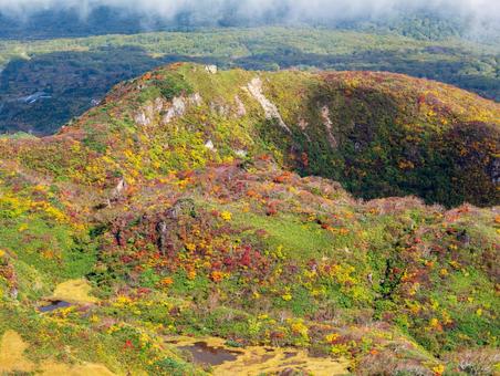 紅葉の栗駒山(須川岳) 紅葉の栗駒山(須川岳)の写真