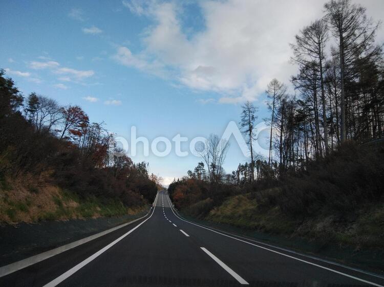 上り坂 上り坂,道路,林の写真素材