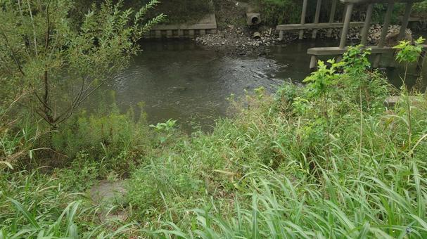 小川のせせらぎ 小川のせせらぎの写真