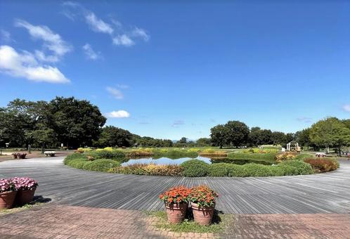 フラワーパーク江南06 フラワーパーク江南06の写真