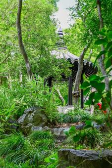 蘇州・留園 蘇州・留園の写真